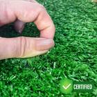 Grama Noronha Decor Standard 10mm (5m²)