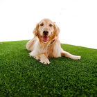 Grama Sintética 10mm (3m²) 2,00m X 1,0m Safegrass - Becshop