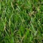 Grama Sintética 20mm 1x5m Naterial