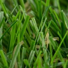 Grama Sintética 20mm 1x5m Naterial