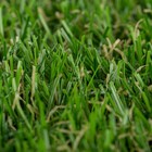 Grama Sintética 20mm 2x5m Naterial