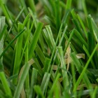 Grama Sintética 20mm 2x5m Naterial