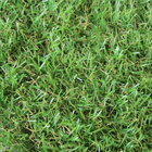 Grama Sintética 20mm Rolo 1x5m