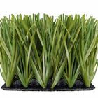 Grama Sintética 22mm Identica A Natural (29m²) 2,00m X 14,50m