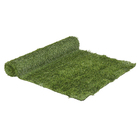 Grama Sintética 30mm 2x5m Abrolhos Sporty Naterial