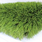 Grama Sintética 32mm Identica A Natural (8m²) 2,00m X 4,00m E