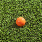 Grama Sintética 38mm Caprera Rolo 2x5m