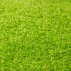 Grama Sintética Artificial 20mm Com Proteção Uv E Anti-fungo