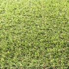 Grama Sintética Artificial 20mm Com Proteção Uv E Anti-fungo