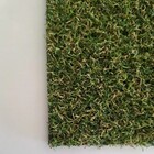 Grama Sintética Bicolor Decorativa Artificial - 10mm - 10m²