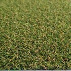 Grama Sintética Bicolor Decorativa Artificial - 10mm - M²