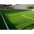 Grama Sintética Esportiva 50mm 6000 Dtex Fibrilada 4,00 X 5,0