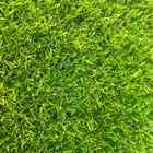 Grama Sintética Noronha 20mm Concept Bicolor (25m²) 1m De Lar