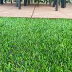 Grama Sintética Noronha 20mm Paisagista Premium 2m² 1m De Lar