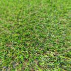 Grama Sintética Noronha 20mm Paisagista Premium - (1m²) Padrã