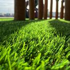 Grama Sintética Noronha 30mm Paisagista Premium 25m² 1m De La