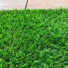 Grama Sintética Noronha 30mm Paisagista Premium 2m² 1m De Lar