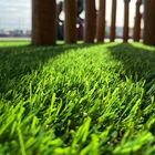 Grama Sintética Noronha 30mm Paisagista Premium 2m² 1m De Lar