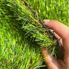 Grama Sintética Noronha 30mm Paisagista Premium - (1m²) Padrã