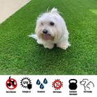 Grama Sintética Noronha Paisagista Premium 10m² 1m De Largura