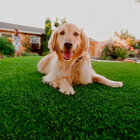 Grama Sintetica Softgrass 10mm - 2x5m - 10m2 - Decortech