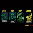 Gramix 100ml Seletivo Jardinagem Gramados Residenciais Áreas