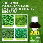 Gramix 100ml Seletivo Para Gramados