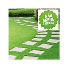 Gramizap Herbicida Seletivo Imazapir Controla Tiririca