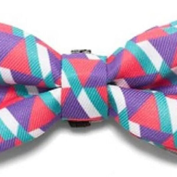 Gravata Para Cachorro Zee Dog - Estampa Adria - Tamanho G