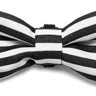 Gravata Para Cachorro Zee Dog - Estampa Asos - Tamanho G