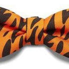 Gravata Para Cachorro Zee Dog - Estampa Ayo - Tamanho G