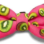 Gravata Para Cachorro Zee Dog - Estampa Juice - Tamanho G