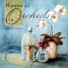 Gravura Coleção Fleurs Provence Iv 40 X 40 Cm