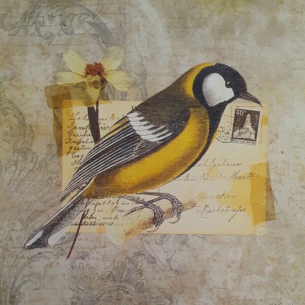 Gravura Coleção Pássaros Iii 25 X 25 Cm