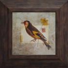 Gravuras Coleção Pássaros  25 X 25 Cm