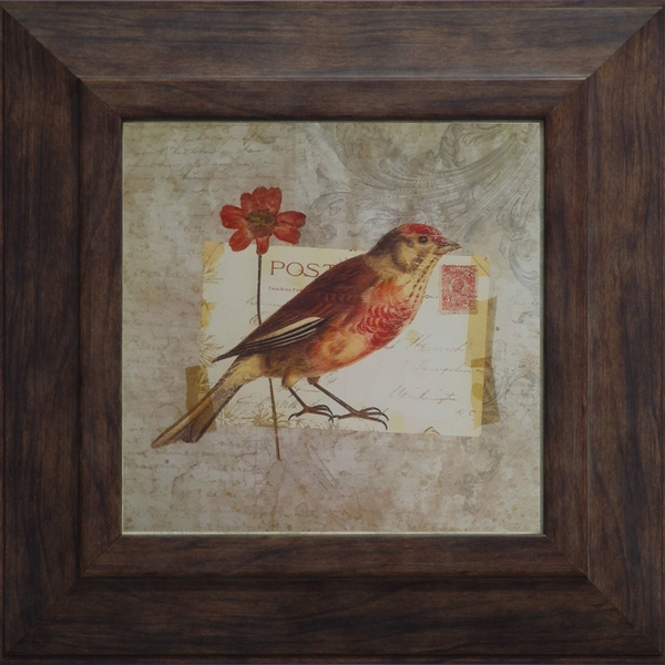 Gravuras Coleção Pássaros  25 X 25 Cm