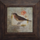 Gravuras Coleção Pássaros  25 X 25 Cm