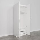 Guarda-roupa 2 Portas Com Cabideiro E 2 Gavetas Hera Cabecasa