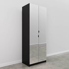 Guarda-roupa 2 Portas Com Espelho Cabideiro 2 Gavetas Hera Ca