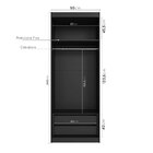 Guarda-roupa 2 Portas Com Espelho Cabideiro 2 Gavetas Hera Ca