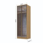 Guarda-roupa 2 Portas Reflecta 2 Gavetas Internas Ravi Olmo I