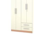 Guarda Roupa 4 Portas Line Branco/camarim - Vlr