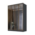 Guarda-roupa 4 Portas Reflecta 2 Gavetas Internas Ravi Grafit