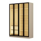 Guarda-roupa 4 Portas Reflecta Com Led 100% Mdf Orion Cabecas