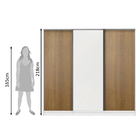 Guarda Roupa Casal 100% Mdf Madesa Royale 3 Portas De Correr