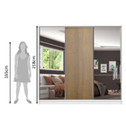 Guarda Roupa Casal 100% Mdf Madesa Royale 3 Portas De Correr