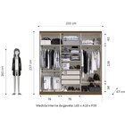 Guarda Roupa Casal 237x233cm 6 Portas 3 Gavetas Mônaco  Carva