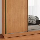 Guarda Roupa Casal 2 Portas De Correr Chicago Cinamomo