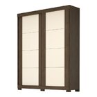 Guarda Roupa Casal 2 Portas De Correr Flex Color 100% Mdf Bol