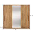 Guarda Roupa Casal 3 Portas 5 Gavetas Com Espelhos Nilo Mel